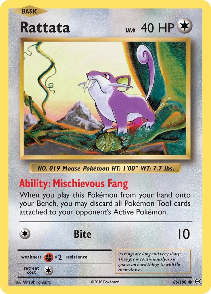 Rattata (66/108) (XY - Evolutions) (EVO)