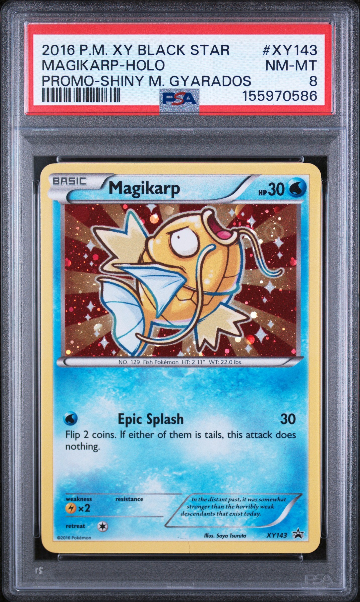 Graded 2016 Pokemon Xy Black Star Promo Magikarp-Holo #XY143 Trading Card Game PSA 8 Near Mint