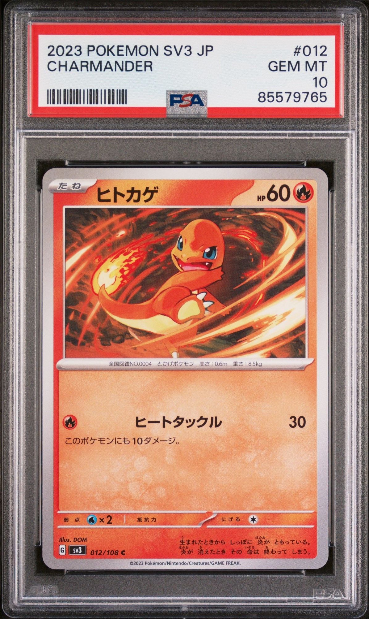 Graded 2023 Pokemon JP SV3 Charmander #012 Ruler of the Black Flame Japanese Trading Card Game PSA 10 Gem Mint