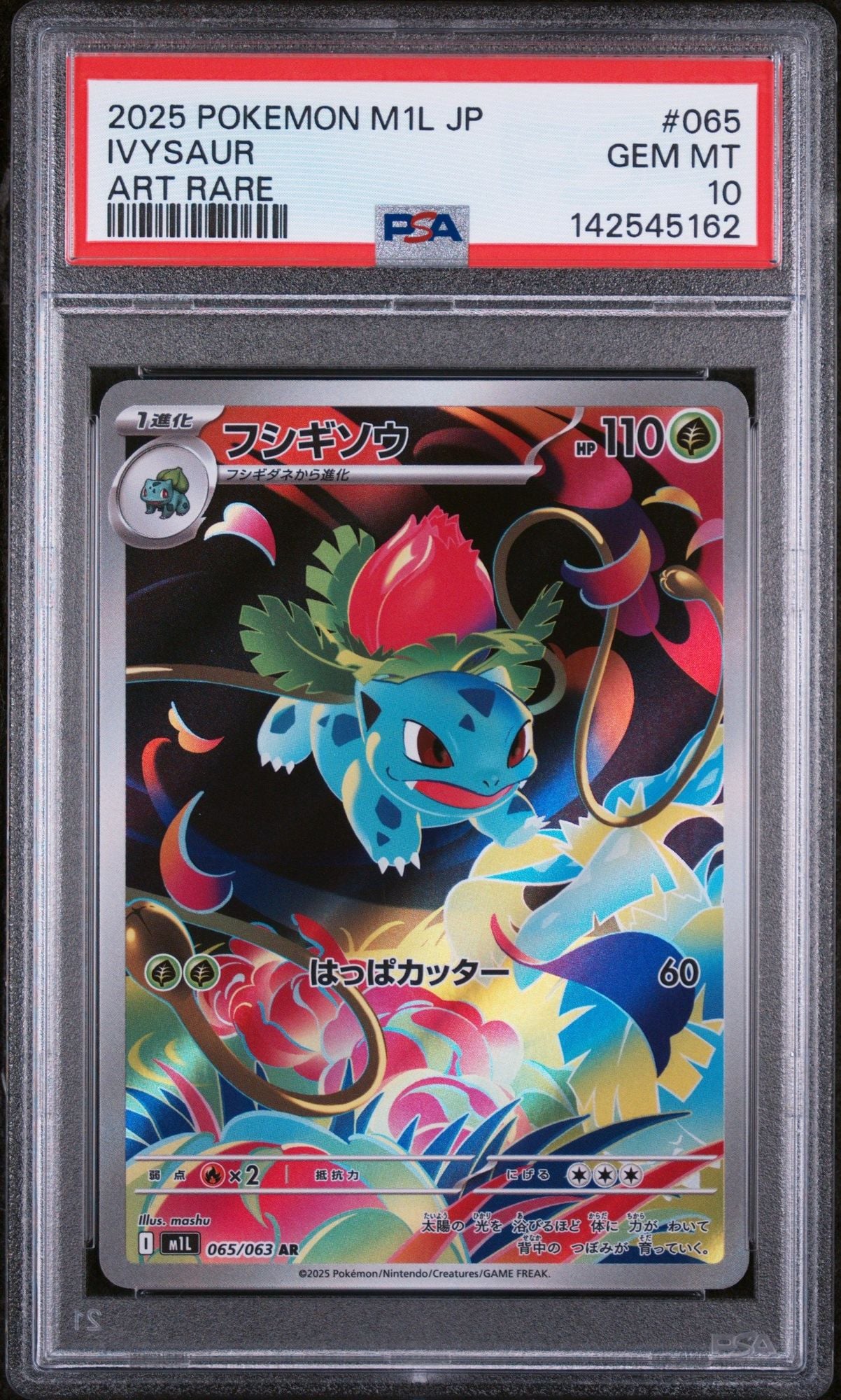 Graded 2025 Pokemon JP M1L Ivysaur #065 Art Rare Mega Brave Japanese Trading Card Game PSA 10 Gem Mint