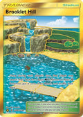 Brooklet Hill SV88/SV94 - Hidden Fates Shiny Vault Holofoil