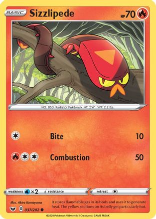 Sizzlipede () 037/202 - SWSH01 Sword & Shield Base Set Reverse Holofoil