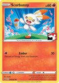 Scorbunny (Library Exclusive) (031/202) (Miscellaneous Cards & Products) (MCAP)