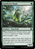 Sunshower Druid (BLB-195) - Bloomburrow