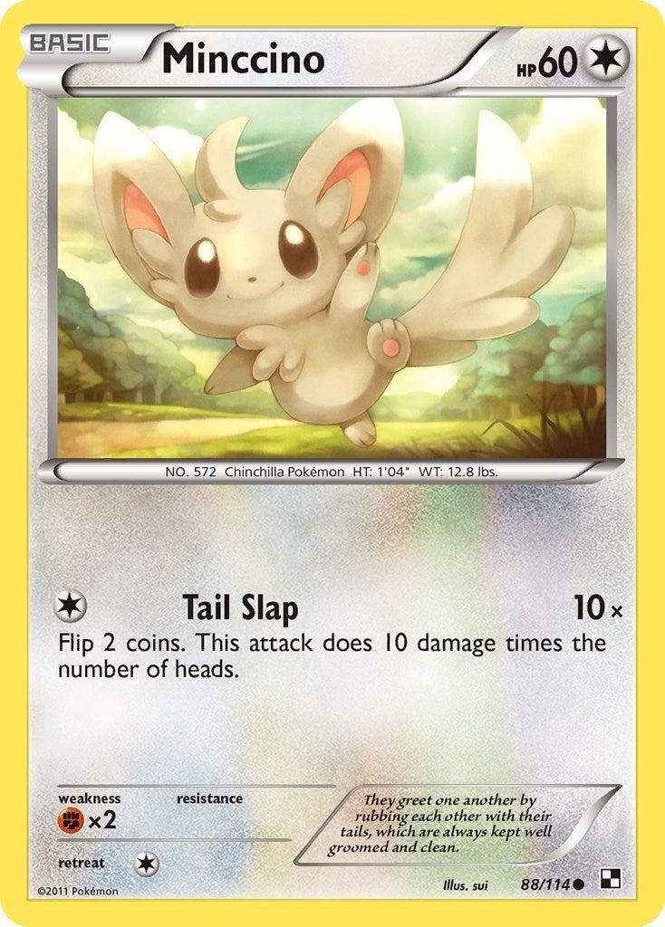 Minccino (88/114) (Black and White) (BLW)