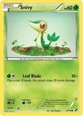 Snivy 002/114 - Black and White Reverse Holofoil