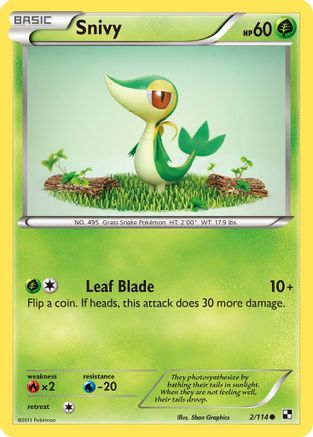 Snivy 002/114 - Black and White Reverse Holofoil