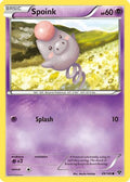 Spoink 049/146 - XY Base Set