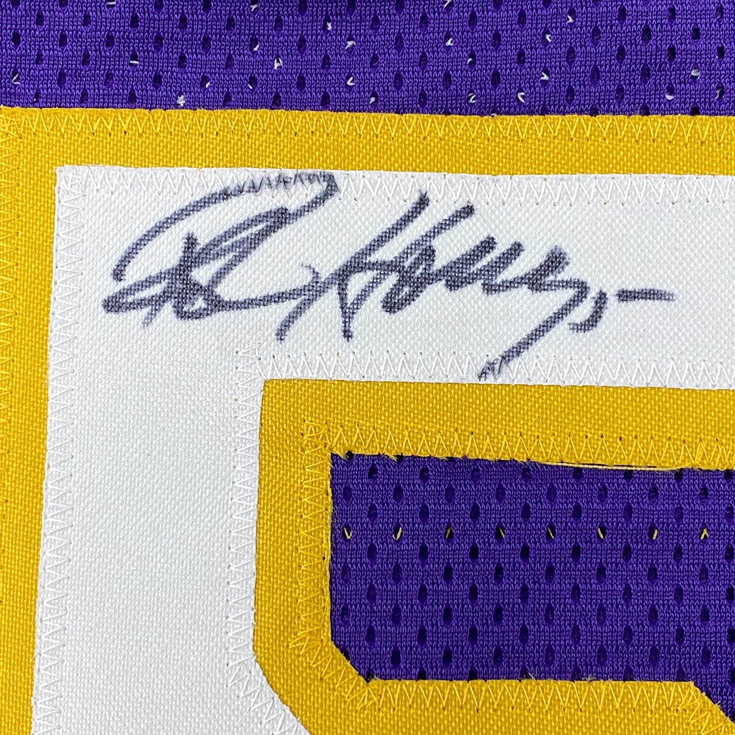 Framed Autographed/Signed Robert Horry 35x39 Los Angeles LA Purple Basketball Jersey PSA/DNA COA