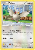Pidove 078/108 - XY  Roaring Skies