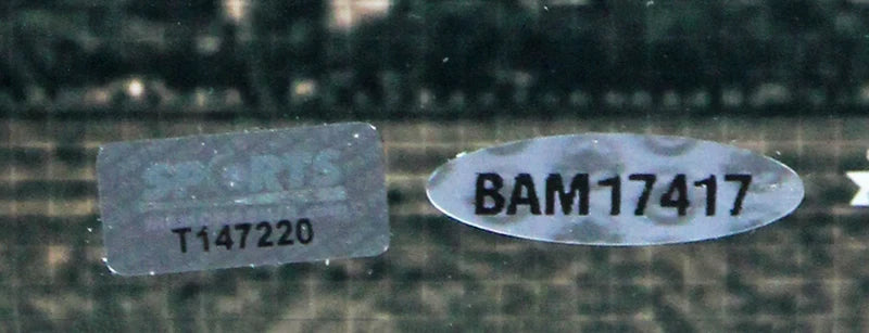 Heat LeBron James Authentic Signed Framed 18x36 Photo UDA #BAM17417