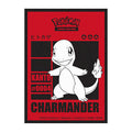 Pokémon Card Sleeve - Charmander (Single Sleeve)